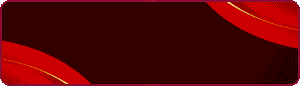 POLOTOTO Logo